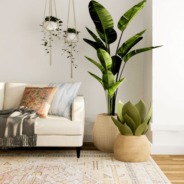 Artificial plants styled beside a sofa