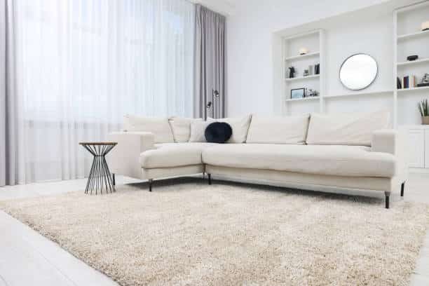 Centre rug in a bright living room